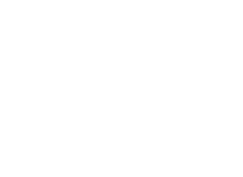 G Netwox LOGO Final copy2